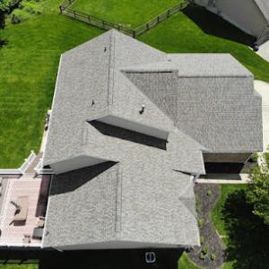 Four Paws Roofing & Remediation