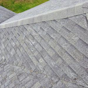 Danny Morrison's Roofing Professionals