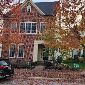 Terrapin Roofing