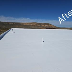Platinum Roof Coatings
