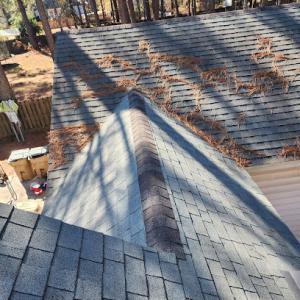 Professional Roofing Solutions
