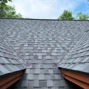 Loon Roofing & Construction