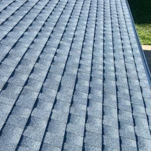 Nest Roofing