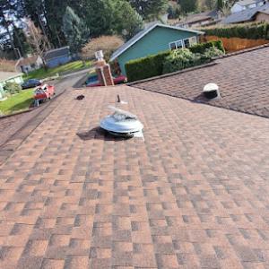 Bellevue Roof Repair