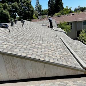 Shelton Roofing