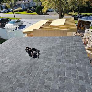 MVP Home Services