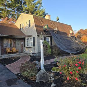 Fitzgerald Roofing
