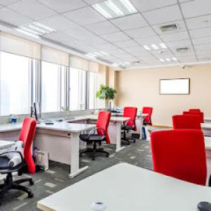 Acoustic Ceiling Kings