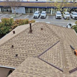 Elevated Roofing