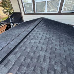Delta Blue Roofing Company