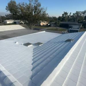 The Roof Warrior