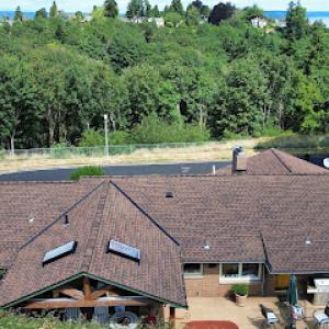 Proline Roofing & Restoration