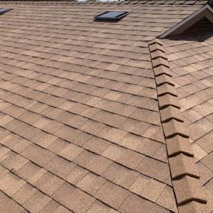 Best Roofer Solar