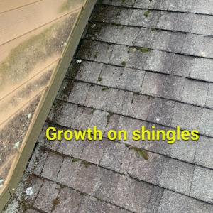 Litespeed Construction - Asheville Roofing Contractor