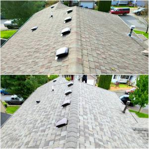 Ruiz Roofing