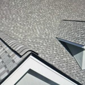 Bumble Bee Roofing