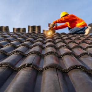 Bottom Dollar Roofing