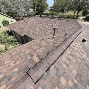 Pink Roofers