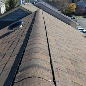 Raul Roofing Deck & Fences