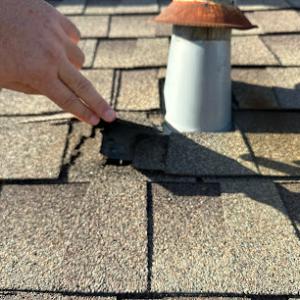 Honey Bees Roofing