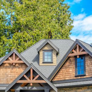 Adolfo Serna Roofing