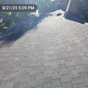Modern Exterior Roofing