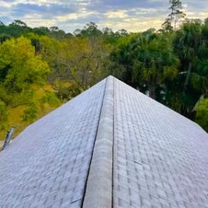 Heart Roofing