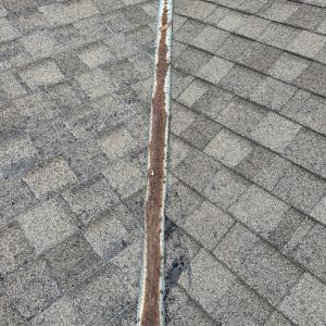 Raptor Roofing