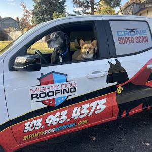 Mighty Dog Roofing of South Denver