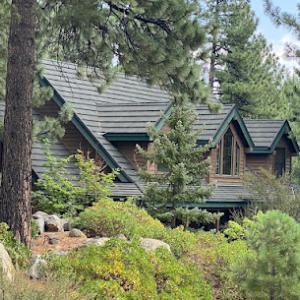 True Green Roofing Solutions