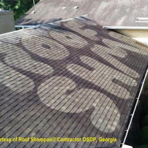 First Aid Roof Care