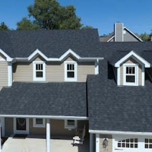 Davis Roofing