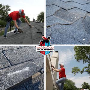 Mighty Dog Roofing of Benton Harbor