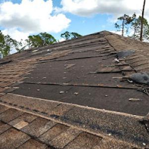 Roman Roofing