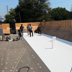 Bayshore Roofing