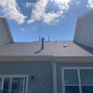 The Shingle Master
