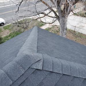 Davine roofing