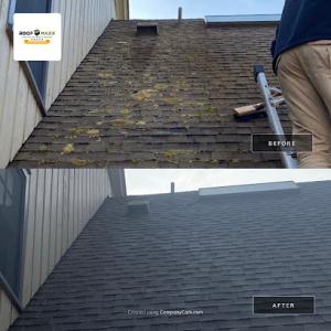 Reborn Roofing
