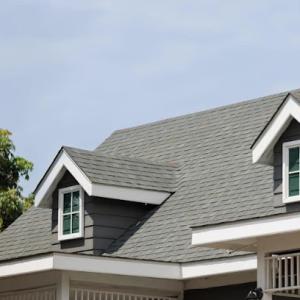 Hidalgo Roofing