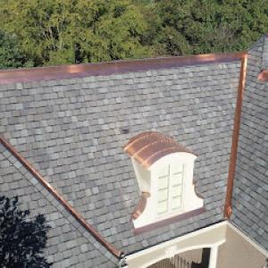 BullDog Roofing