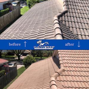 Clean Roof