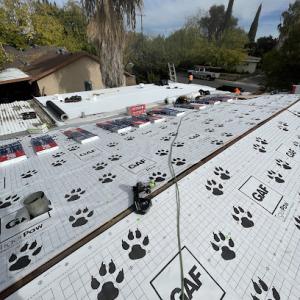 NS1 Roofing
