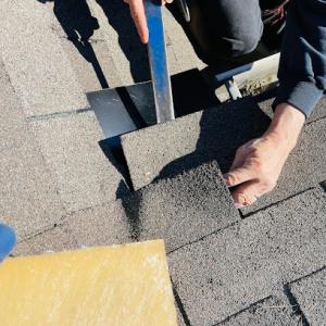 Nailed It Roof Repair