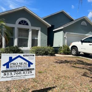 Pro Seal Roofing