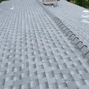 R.A.W. Roofing