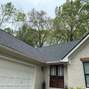 Sky Roof