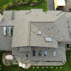 Next Level Roofing