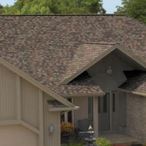 Forte Roofing