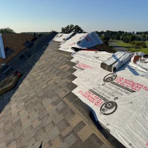 Modern Exterior Roofing