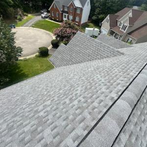 Absolute Building Services